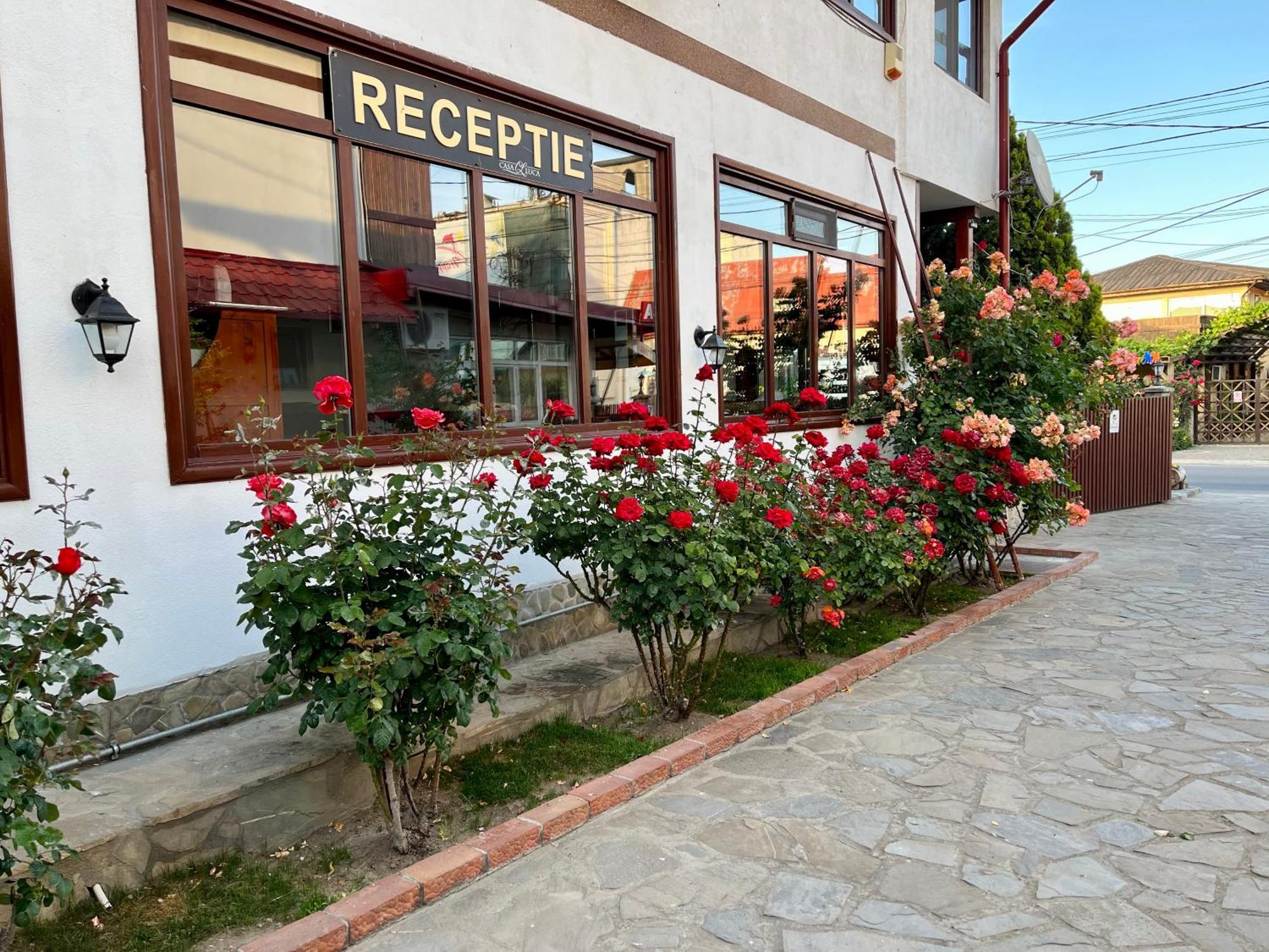 Casa Luca Hotel วามาเวเก ภายนอก รูปภาพ
